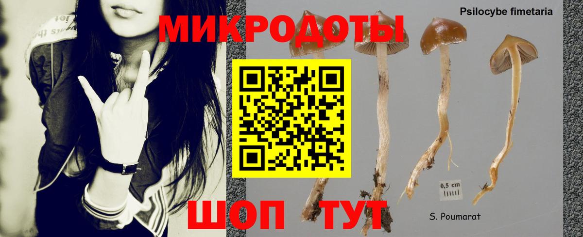 Россия  Галлюциногенные грибы Psilocybine cubensis  Вход с VPN 